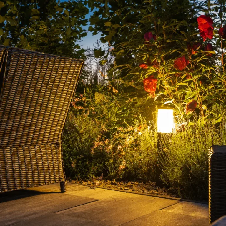 Backyard Landscape Lighting