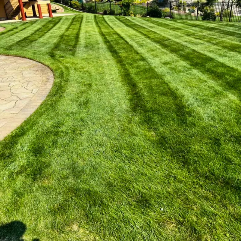 Property Maintenance Custom Touch Outdoors